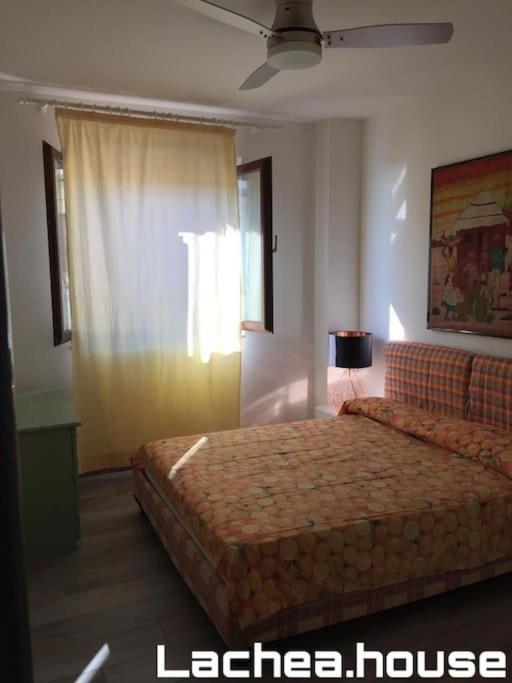 Lachea House Appartamento Sul Mare Dei Ciclopi 阿齐·卡斯特罗 外观 照片